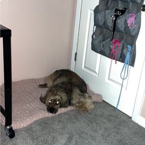 Meet your Posher, Karley